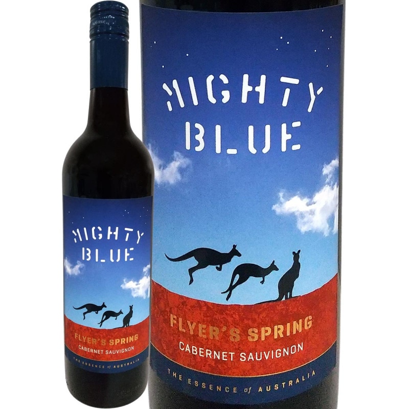 �ޥ��ƥ����֥롼���ե饤�䡼�������ץ�󥰡����٥�͡����������˥��