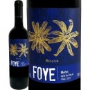 �֥���󡦥ե��ߥ꡼���磻�󥺡����������ե�������2021