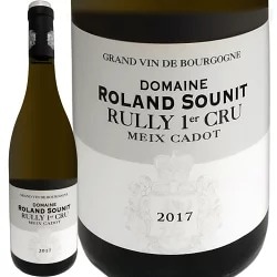 �ɥ᡼�̡�������󡦥����� ���ꥣ���ץ�ߥ��������ȥᡦ���ɡ�2017