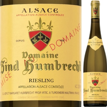 ɥ᡼̡ĥȡե֥ҥȡ꡼󥰡ƥ륯ϥ