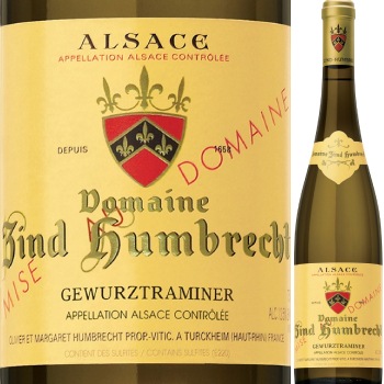 ɥ᡼̡ĥȡե֥ҥȡĥȥߥ͡롡ƥ륯ϥ