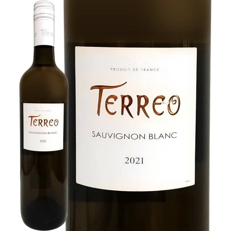 �ƥ쥪�����������˥�� 2021