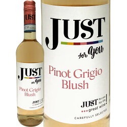 ���㥹�ȡ��ԥΥ��꡼���硦�֥�å���(����)