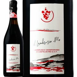 롦֥륹饹ѥåǥƥȥå MO