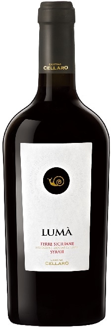 ����ƥ����ʡ������顼�����롼�ޡ����顼