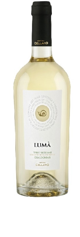 ����ƥ����ʡ������顼�����롼�ޡ������ɥ�