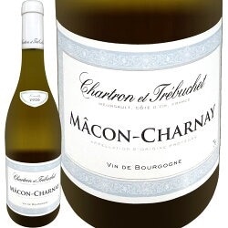 �����ȥ��󡦥����ȥ�ӥ奷�� �ޥ���=�����ͥ� 2020