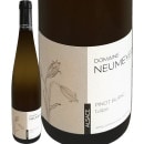 �ɥ᡼�̡��̡��ᥤ�䡼���ԥΡ��֥�󡦥顦���塼��å�  2022