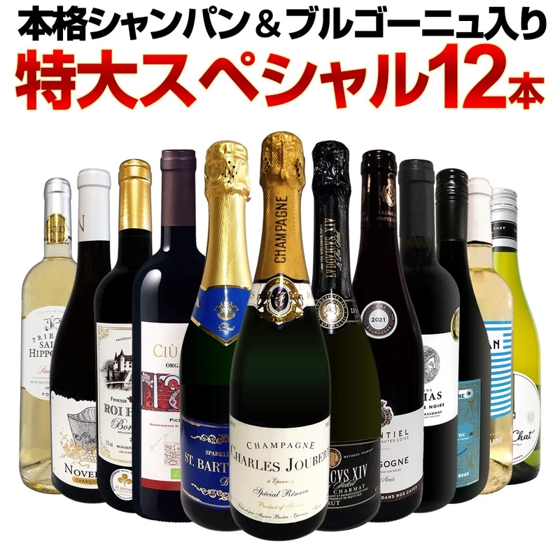 ̵53ơܳʥѥ֥르˥ꡪ祹ڥ12ܥåȡ