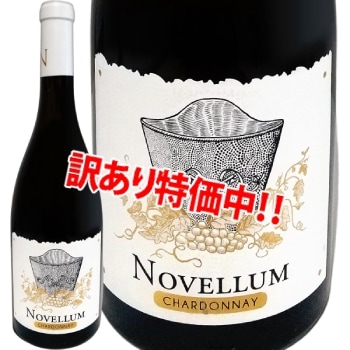 ��������ۢ��̾��������1,848�ߢ�1,408�ߢ�ɥ᡼�̡���ե������塦�Υ�����ࡦ�����ɥ� 2021