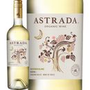 �����ȥ顼�����������˥å������������˥�󡦥֥�󡦥쥼������������֥�󥫡������졼 2023