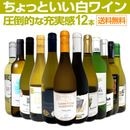 ̵100ơŹФäȤ磻12ܥåȡ