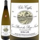 ɥ᡼̡졦ץ󡦥ǥ塦ڥʥơե 2024