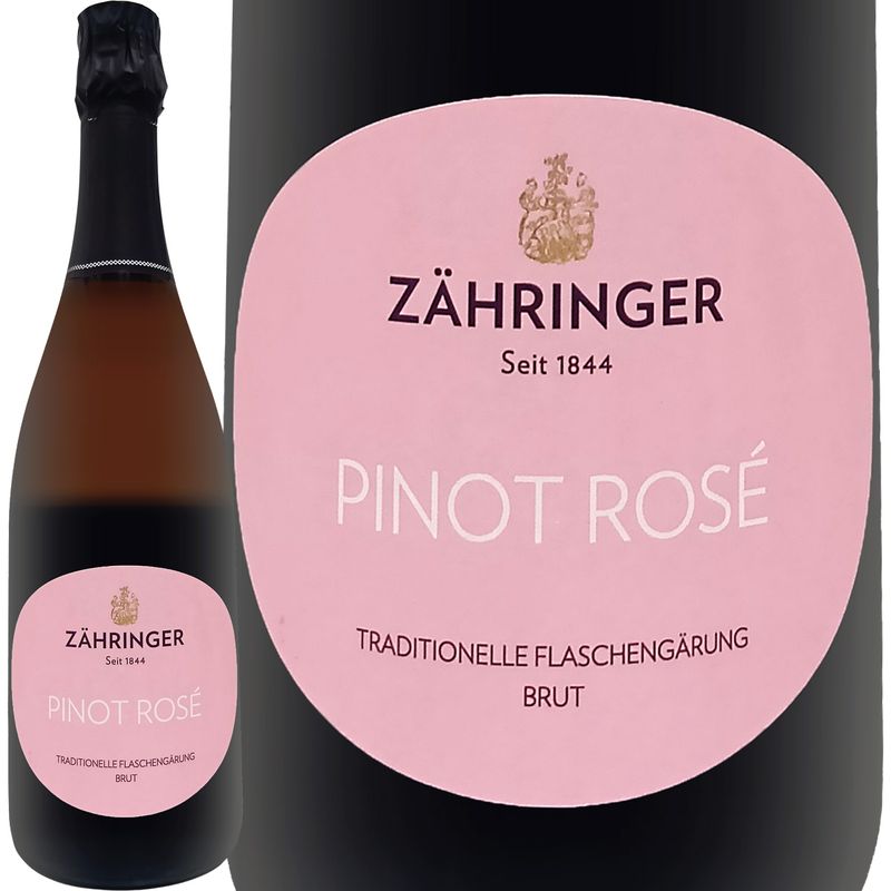 ĥ󥬡ԥΡ֥åȡ2022