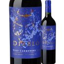 㡦ȥǥ֥ǥס͡롡2024