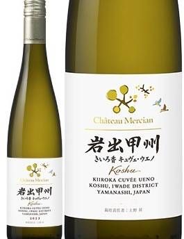 ȡ륷󡡴йýᡡ 2024