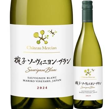 ����ȡ�����륷����лҥ��������˥�󡦥֥�� 2024