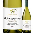 ����ȡ�����륷����лҥ��������˥�󡦥֥�� 2024