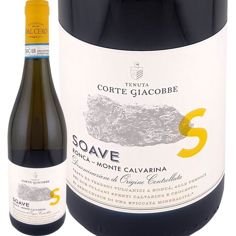 �ƥ̡������ǥ�������ơ����㥳���١ʥ��롦�������˥���������������ơ����㥳���� 2024