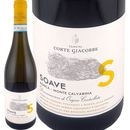 �ƥ̡������ǥ�������ơ����㥳���١ʥ��롦�������˥���������������ơ����㥳���� 2024