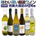 ������̵������232�ơ���Ź�������˻���磻�󡪡���磻���¸ʬ�˳ڤ��ࡪ��̣�襤���������ѡ����쥯����6�ܡ�