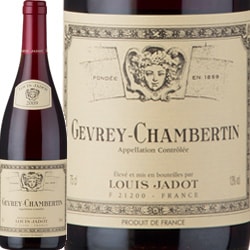 �륤������ɡ�������졦�����٥륿�� 2023