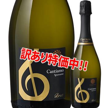 ���������56��OFF����륷��󡦥磻�󥺡�����ƥ������⡡���ץޥ�ơ��֥��å�