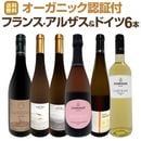 ������̵���ۡ���Ź�ȼ�͢���������󼡥������ѡ������ꡪ�������˥å�ǧ���ա��ե�󥹡����륶�����ɥ��ĥ磻��6�ܥ��åȡ�