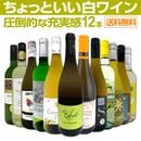 ������̵������111�ơ���Ź��������Ф��������������äȤ�����磻��12�ܥ��åȡ�