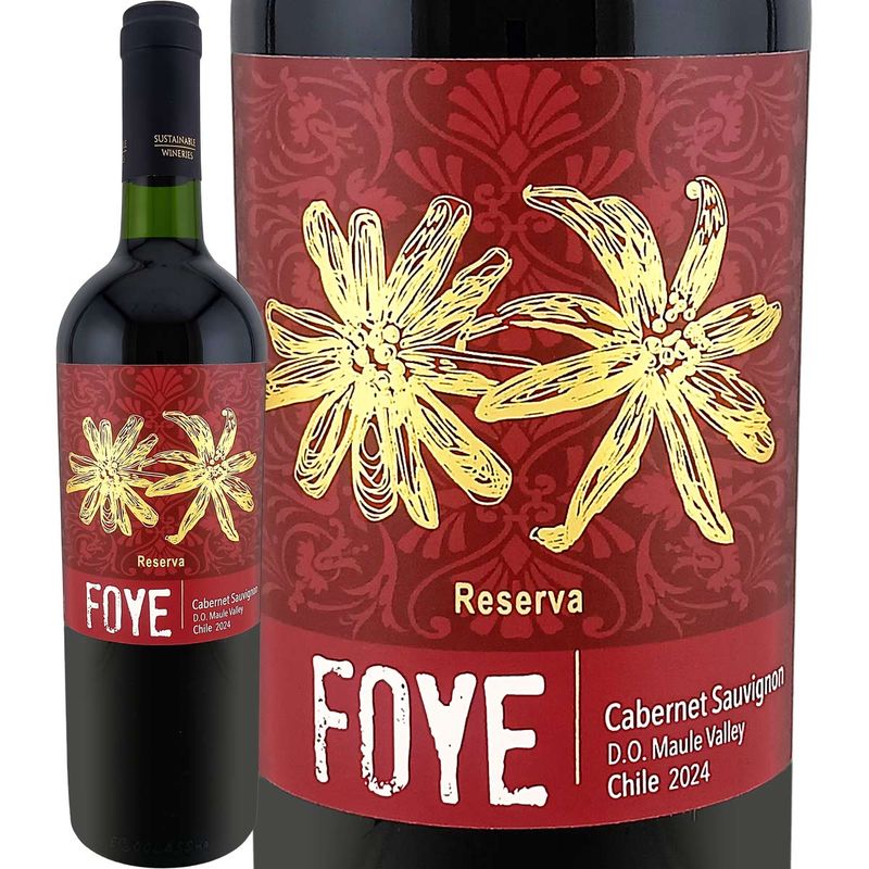 �ե����������٥�͡����������˥�󡡥쥼�������2024