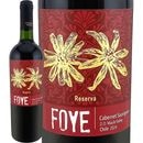 �ե����������٥�͡����������˥�󡡥쥼�������2024