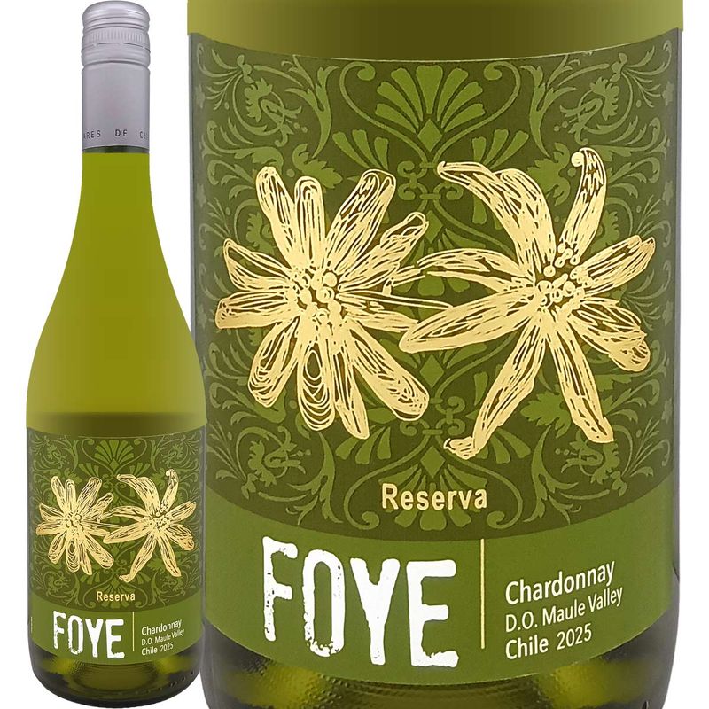 �ե������������ɥ͡��쥼�������2025