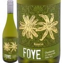 �ե������������ɥ͡��쥼�������2025