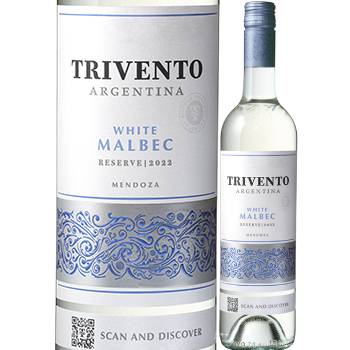 �ȥ������ȡ��ꥶ�������ۥ磻�ȥޥ�٥å� 2023