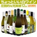 ������̵������112�ơ���Ź��������Ф��������������äȤ�����磻��12�ܥ��åȡ�