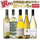 ������̵���ۡ�������������ƹ�ΰ��ߤ䤹����磻��5�ܥ��å�