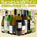 ������̵������113�ơ���Ź��������Ф��������������äȤ�����磻��12�ܥ��åȡ�