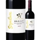 ����ȡ�����륷��󡡵˹������������������ʥ��㡼��2020