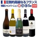 ������̵�����õ饷���ѡ��˥�����äƤ롪����Ū���ʤ�ե�󥹸���5�ܥ��åȡ�