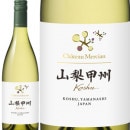 ����ȡ�����륷��󡡻����ý� 2024