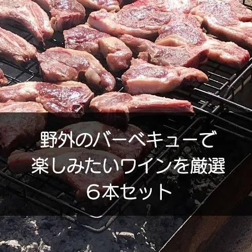 【ワインセット】野外のバーベキューで楽しみたいワインを厳選！