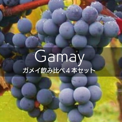 【ワインセット】ガメイ飲み比べ４本セット