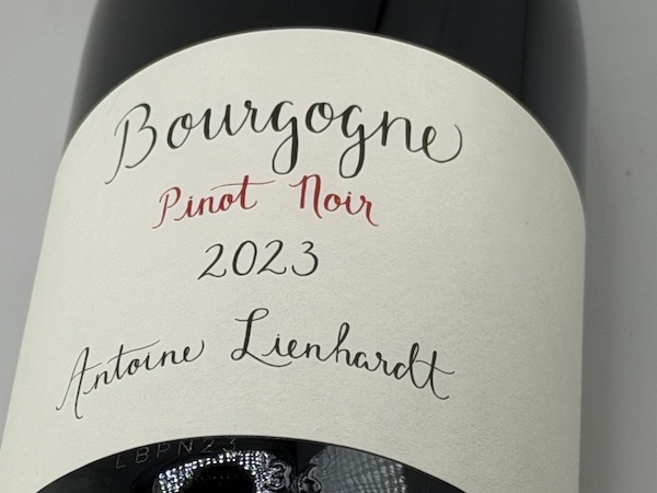 【赤ワイン】アントワンヌ・リエナルト / ブルゴーニュ・ピノ・ノワール [2023]