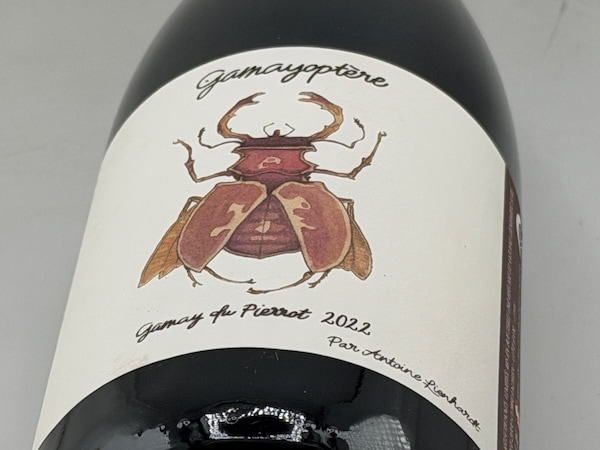 【赤ワイン】アントワンヌ・リエナルト / コトー･ブルギニョン ガメオプテール [2022]