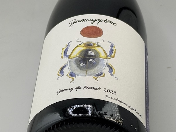 【赤ワイン】アントワンヌ・リエナルト / コトー･ブルギニョン ガメオプテール [2023]