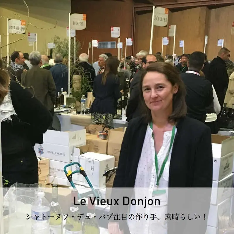 【赤ワイン】ル・ビュー・ドンジョン / シャトーヌフ・デュ・パフ・ルージュ [2021]