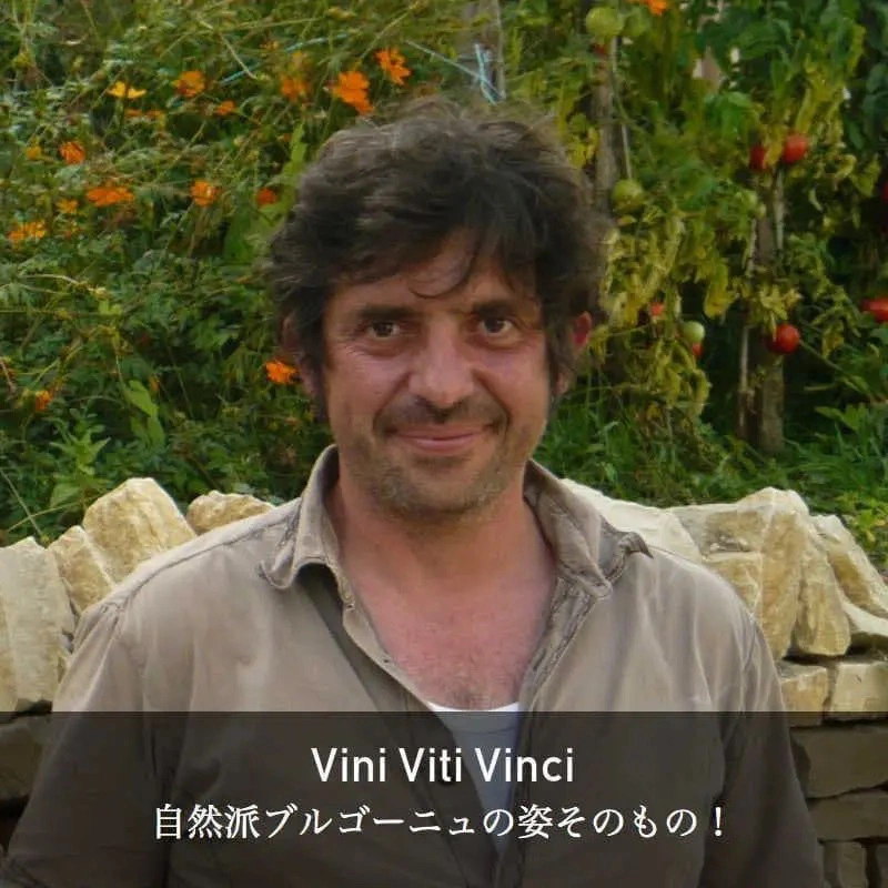 【白ワイン】ヴィニ・ヴィティ・ヴィンチ / ブルゴーニュ・コート・ド・セール・ブレオ [2022]  1500ml