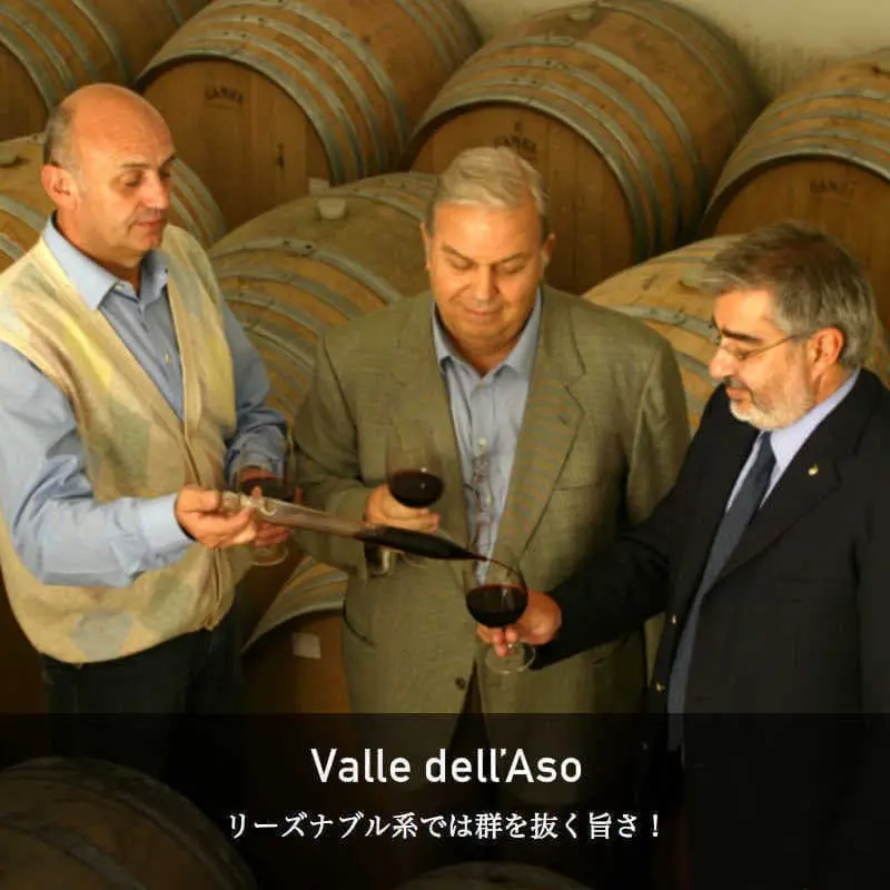 【赤ワイン】ヴァッレ・デッラッソ / サレント・ロッソ　レ・レンツェ [2022]