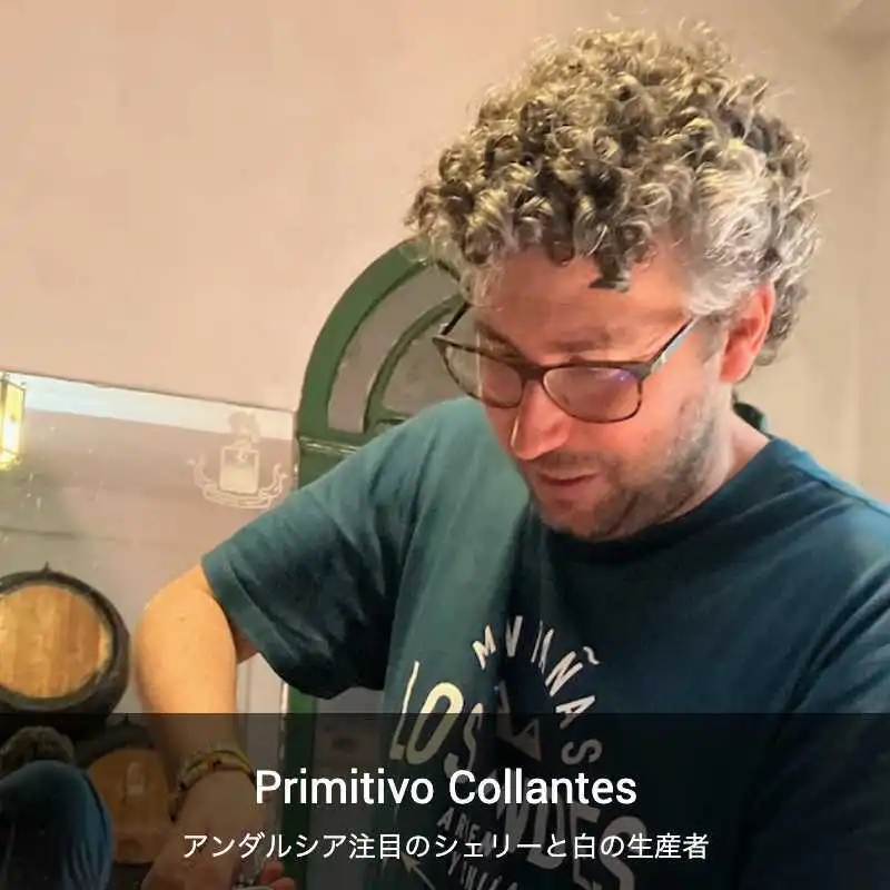 【白ワイン】プリミティーボ コリャンテス（チクラーナ・デ・ラ・フロンテラ） / ソカイレ [2021]
