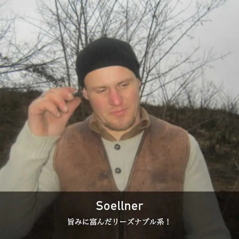 【ロゼ】ヴァイングート・スールナー / ダーニ・ロゼ [2023]